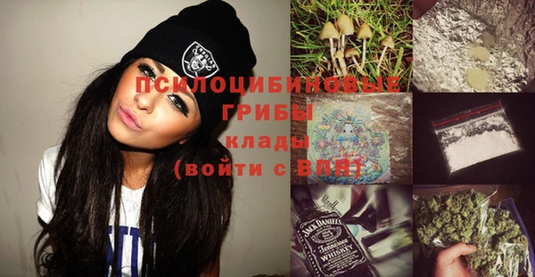 PSILOCYBIN Каменск-Шахтинский