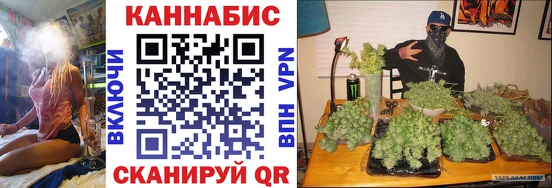 Купить где  Гороховец  Бошки марихуана индика 